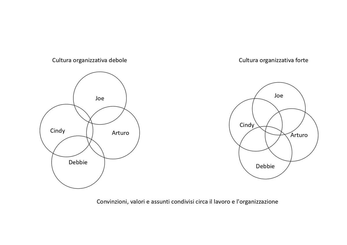 Schema: in una cultura organizzativa debole convinzioni, valori e assunti delle persone si sovrappongono poco, in una forte molto